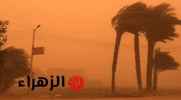 الأرصاد تحذر من عاصفة ترابية تضرب مصر خلال الساعات القليلة المقبلة